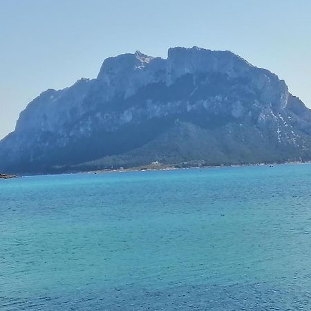 Aria Di Vacanza - Molara ローイリ・ポルト・サン・パーオロ エクステリア 写真