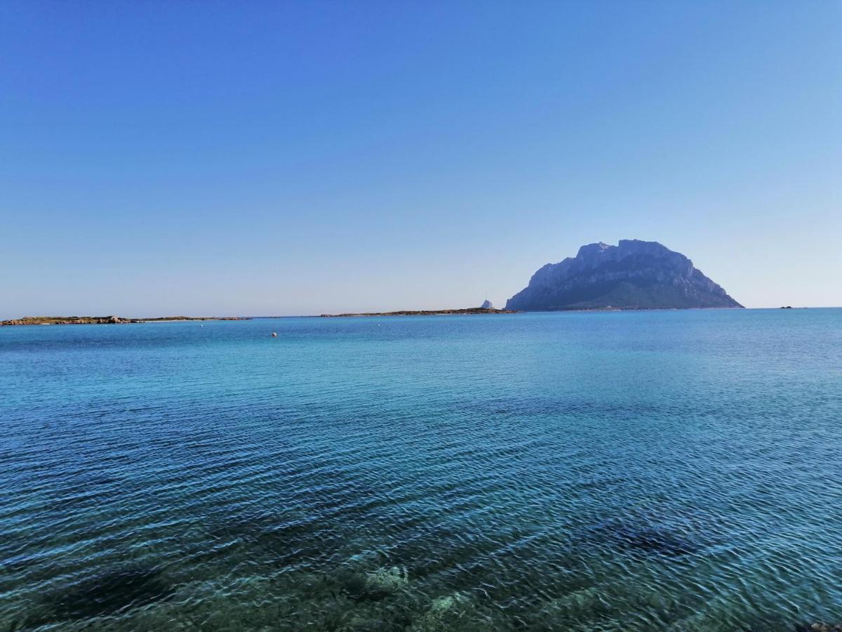 Aria Di Vacanza - Molara ローイリ・ポルト・サン・パーオロ エクステリア 写真